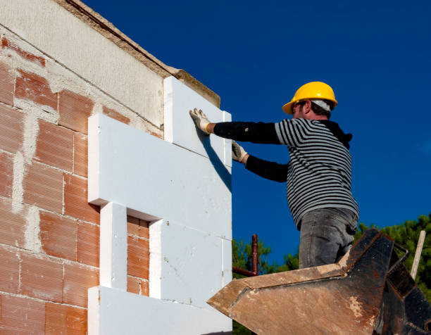 Best Insulation Installation Services in Woodbine, IA